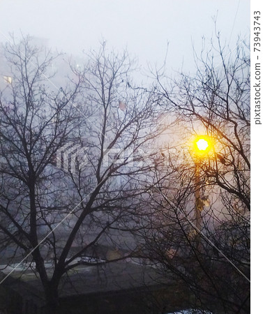 Foggy evening on the outskirts of the city. View from the window Foggy evening on the outskirts of the city. View from the window 73943743