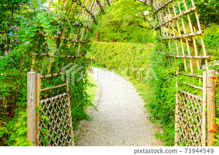 [Garden] Tokugawaen passage, wooden arch 73944549