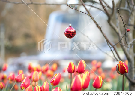 Ice Tulip, Funabashi City, Chiba Prefecture, Japan Ice Tulip, Funabashi City, Chiba Prefecture, Japan 73944700