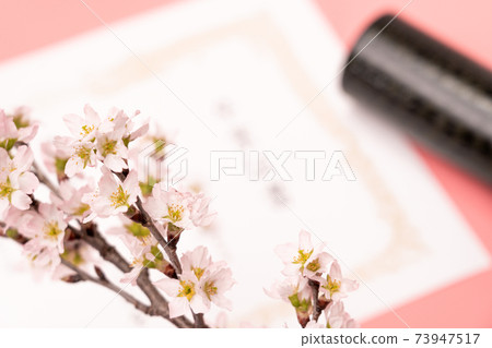Diploma, round tube and cherry blossoms Diploma, round tube and cherry blossoms 73947517