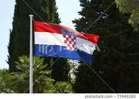 Waving flag of Croatia on summer trees background 73948260