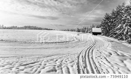 Cross country skiing track on sunny day 73949110