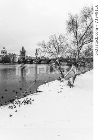 Charles Bridge and Vltava river in winter 73949116