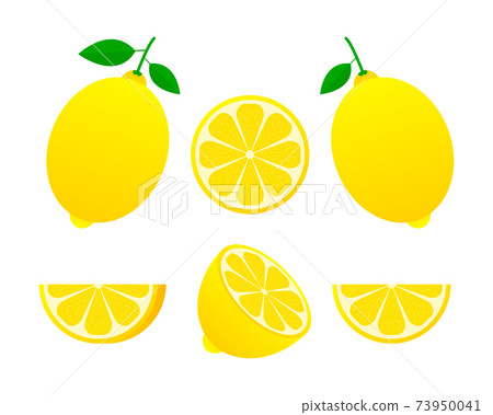 Fresh lemon fruits, collection of vector illustrations Fresh lemon fruits, collection of vector illustrations 73950041