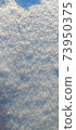 Photo Snow in the sun. Snowflakes are glistening. 73950375