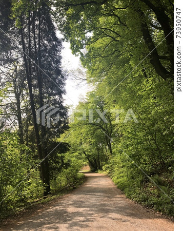 Heidelberg, Germany Philosophenweg Philosophenweg 73950747
