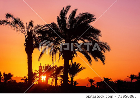 silhouette of palm trees, mosque at sunset silhouette of palm trees, mosque at sunset 73950863