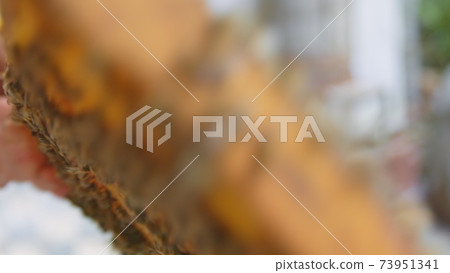 Honey bees on a hive cluster 73951341