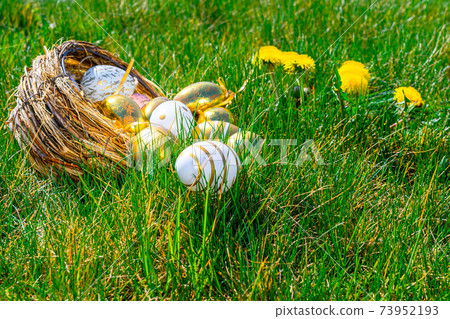 Easter eggs bunny. Golden egg with yellow spring flowers in celebration basket on green grass background. Traditional decoration in sun light. 73952193