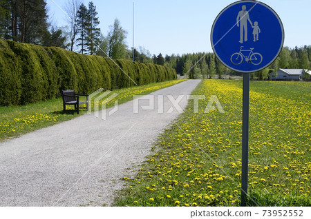 bicycle and footpath along the hedge in Finland bicycle and footpath along the hedge in Finland 73952552