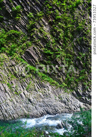 Kiyotsu Gorge (Niigata Prefecture) 73953327