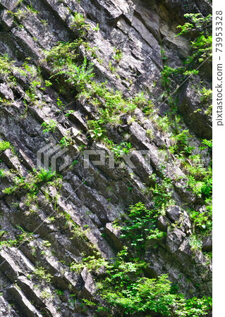 Kiyotsu Gorge (Niigata Prefecture) 73953328