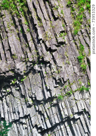 Kiyotsu Gorge (Niigata Prefecture) Kiyotsu Gorge (Niigata Prefecture) 73953329