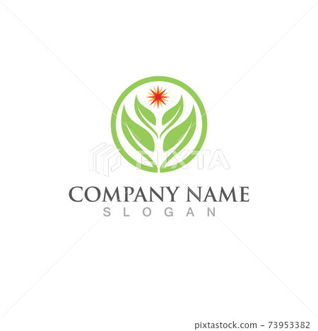 Logos of green Tree leaf ecology Logos of green Tree leaf ecology 73953382