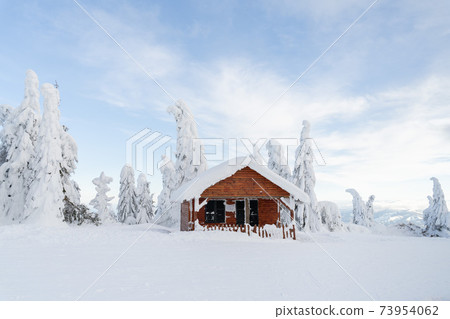 Mountain winter snow landscape. Wooden house and fir trees under the snow. 73954062