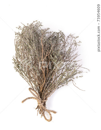 Bunch of wild thyme Bunch of wild thyme 73954609