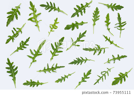 Fresh green rocket salad on white background. 73955111