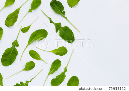 Fresh green rocket salad on white background. 73955112