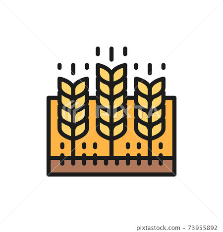 Wheat field, agricultural landscape, farmland flat color line icon. Wheat field, agricultural landscape, farmland flat color line icon. 73955892