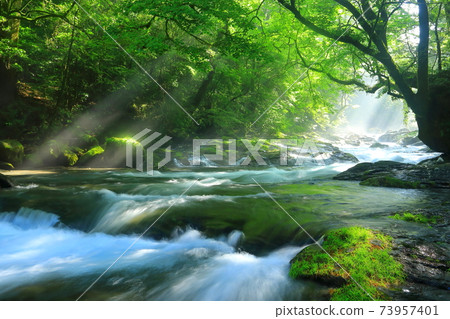 Kikuchi Valley with beautiful rays of light (Kikuchi City) 73957401