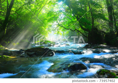 Light beam of Kikuchi Gorge 73957402