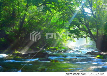Light beam of Kikuchi Gorge Light beam of Kikuchi Gorge 73957404