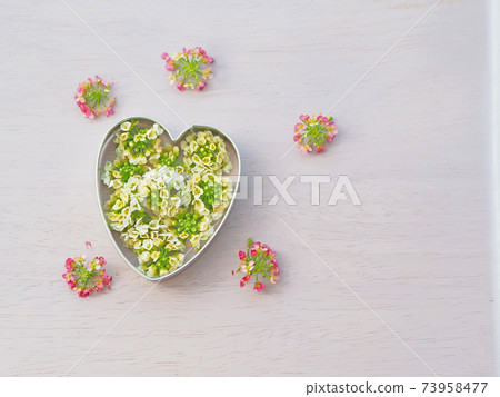 心臟和花瓣 心臟和花瓣 73958477