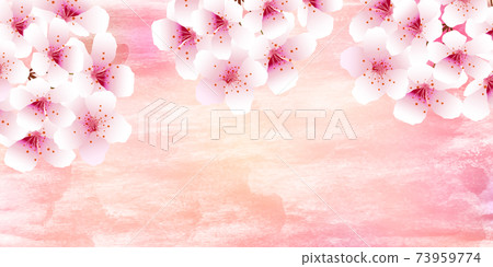 Sakura spring watercolor background 73959774