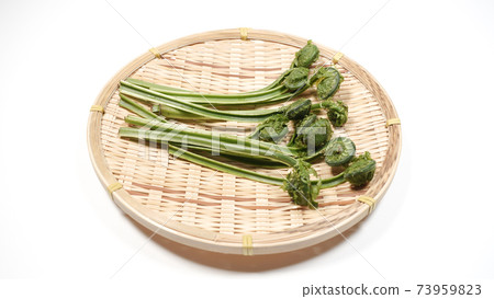 Fresh green waste wild plants 73959823