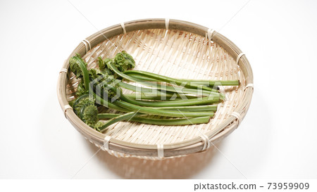 Fresh green waste wild plants Fresh green waste wild plants 73959909