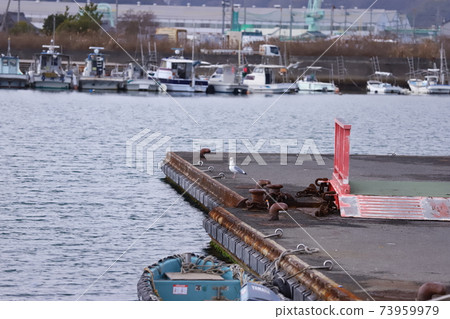 Hiroshima Kure Line, port, seagull direct view. Hiroshima Kure Line, port, seagull direct view. 73959979