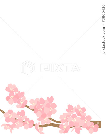 Sakura 137 Sakura Flower Card - Stock Illustration [73960436] - PIXTA