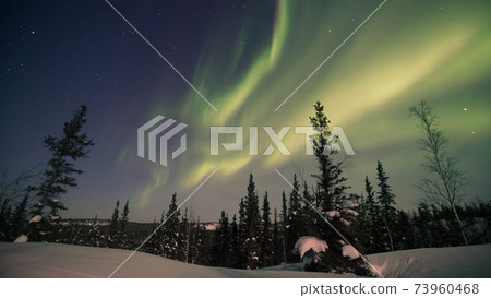 Aurora, AURORA 73960468