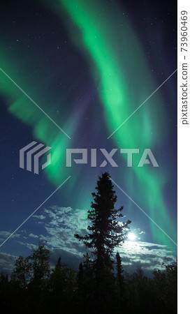 Aurora, AURORA 73960469