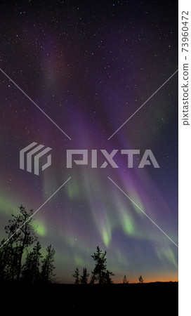 Aurora, AURORA 73960472