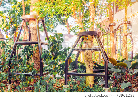 Black steel column supports and controls the branches and trunks of the tree to stand upright and beautiful in the park. Black steel column supports and controls the branches and trunks of the tree to stand upright and beautiful in the park. 73961255