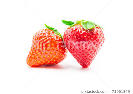 福岡縣草莓博多Amaou 73961849