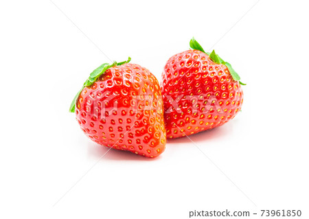 福岡縣草莓博多Amaou 73961850