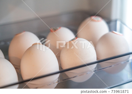 冰箱裡的雞蛋 73961871