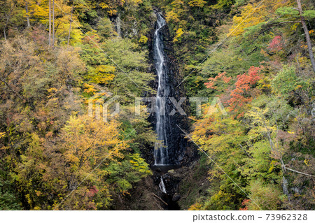 不動瀑布和秋葉群馬縣長野原町不動大橋 照片素材 圖片 圖庫