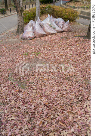 Cleaning leaves Cleaning leaves 73962576