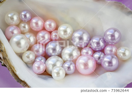 Artificial pearls inside the oyster shell. Different colors and size of pearls. Isolated on a rose background. 73962644