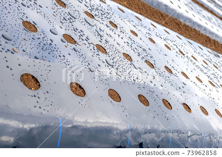 多乙烯基 73962858