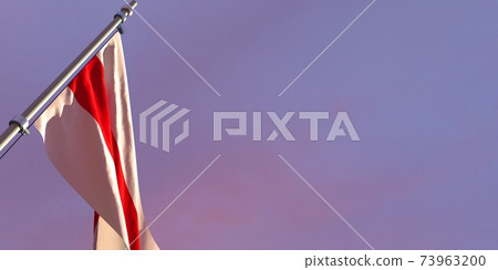 3d rendering of the national flag of the Belarus 3d rendering of the national flag of the Belarus 73963200