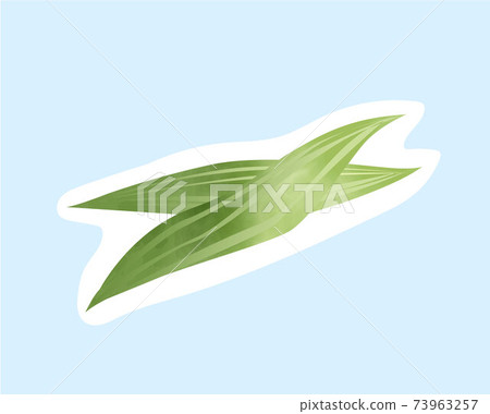Bamboo leaves drawn under the ingredients / leaf orchids / watercolor / vector / individually deformable Bamboo leaves drawn under the ingredients / leaf orchids / watercolor / vector / individually deformable 73963257