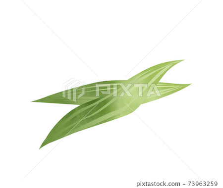 Bamboo leaves drawn under the ingredients / leaf orchids / watercolor / vector / individually deformable Bamboo leaves drawn under the ingredients / leaf orchids / watercolor / vector / individually deformable 73963259