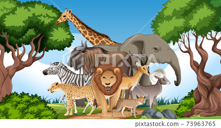 Group of Wild African Animal in the forest scene - Stock Illustration  [73963765] - PIXTA