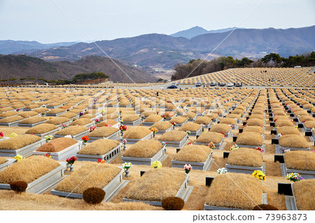 Daejeon Family Park, Park Cemetery, Daejeon Family Park, Park Cemetery, 73963873