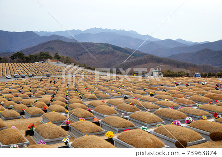 Daejeon Family Park, Park Cemetery, 73963874