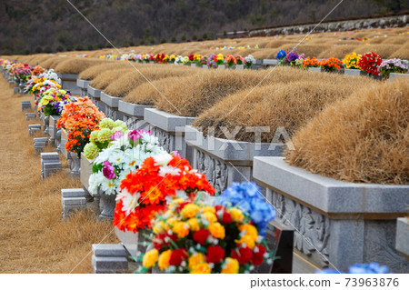 Daejeon Family Park, Park Cemetery, 73963876